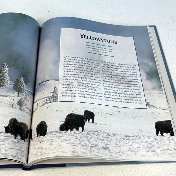 1995 Reader's Digest National Parks Explore America Beautifully Illustrated Book - Picture 6 of 8